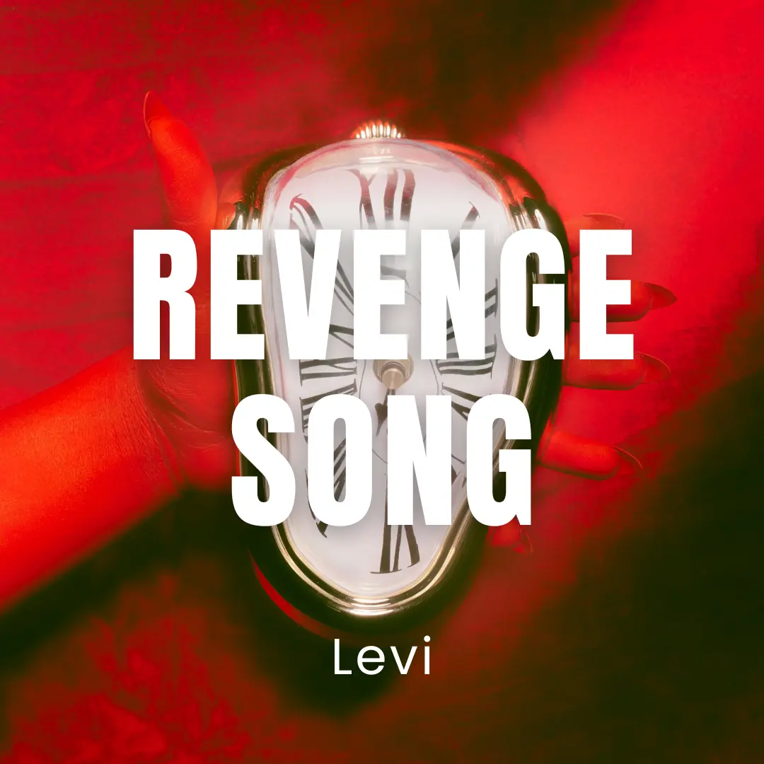Revenge Song