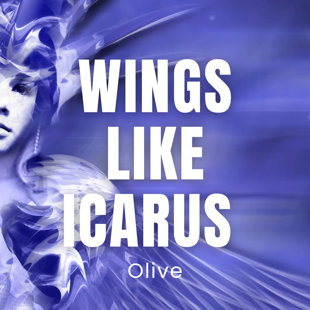Wings Like Icarus